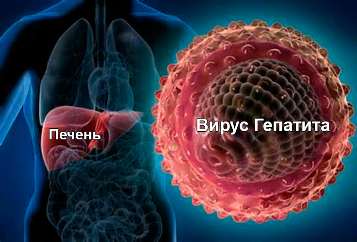 Гепатит. Диагностика и лечение