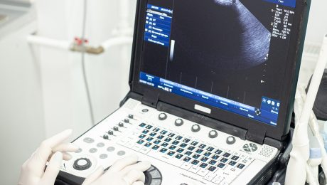 Все виды УЗИ (Харьков) по приемлемой цене